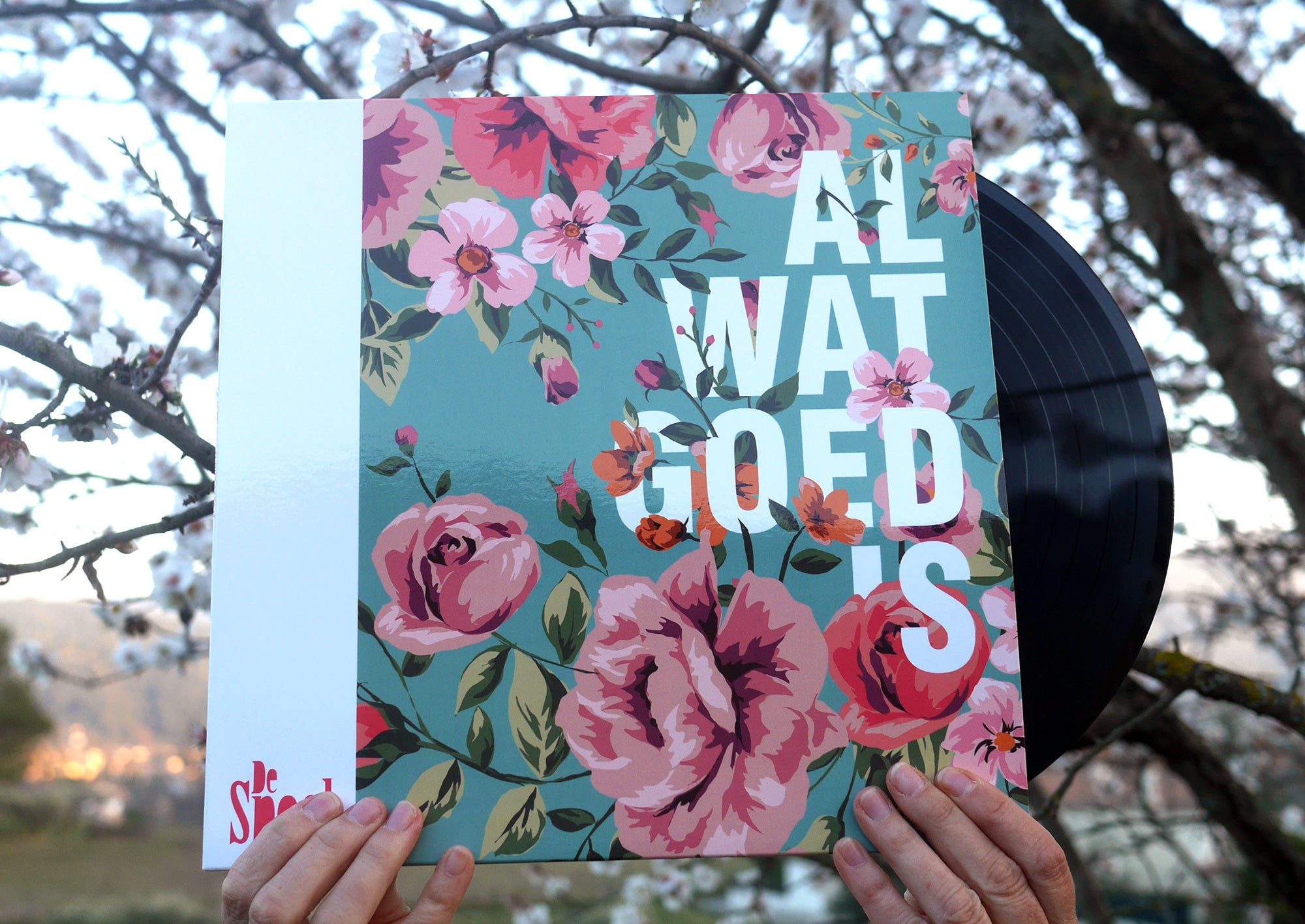 Custom Vinyl Record